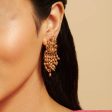 Antique Earring 172270 Sale