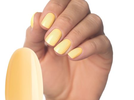 Rise  Multi-Flex Gel | COLORS By VanDahl Online now